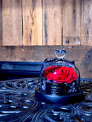 Preserved Red Rose