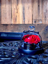 Preserved Red Rose