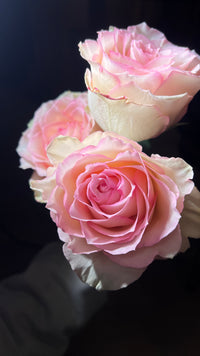 12 Pink Roses bouquet