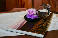 Preserved Purple Rose