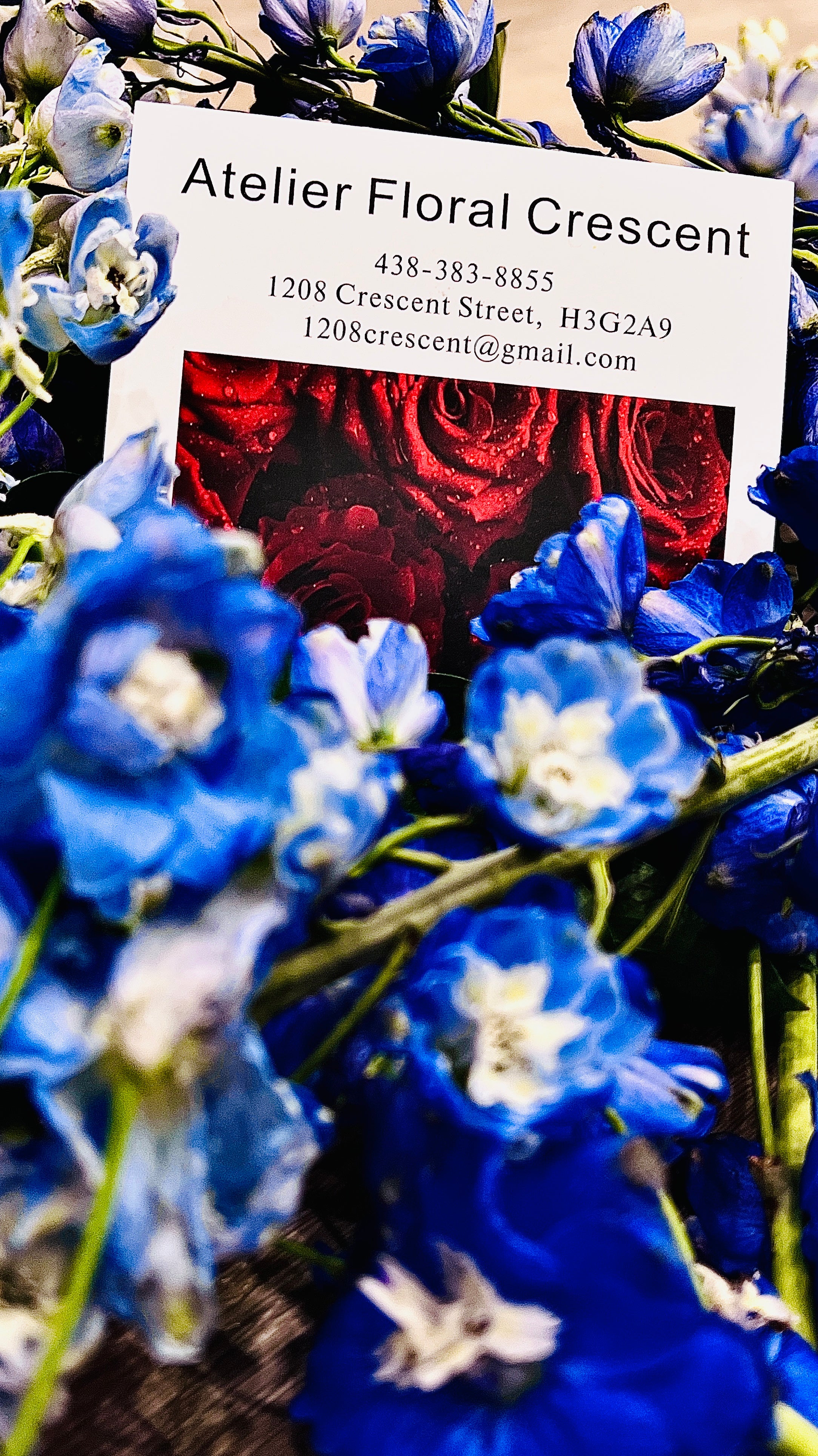 Delphinium Bouquet
