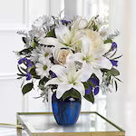 Beautiful in Blue---Standard