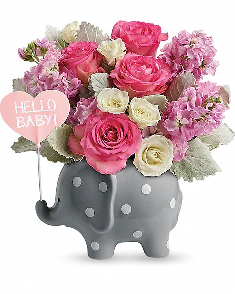 Hello Sweet Baby - Rose TNB06-1A